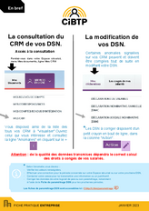 Anomalies DSN